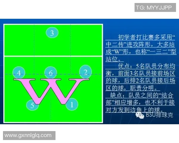 深入分析南京排球队控制打法的战术特点与应用策略
