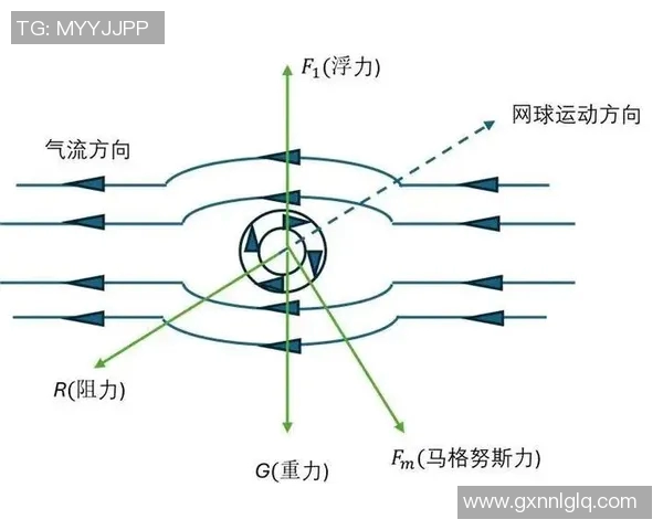网球新手必看的全面攻略与意识入门指南助你快速提升技能 网球新手必看的全面攻略与意识入门指南助你快速提升技能