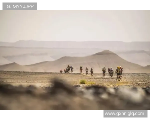 西安极限运动队勇闯城市马拉松展现逆袭精神与团队力量实时数据 西安极限运动队勇闯城市马拉松展现逆袭精神与团队力量实时数据