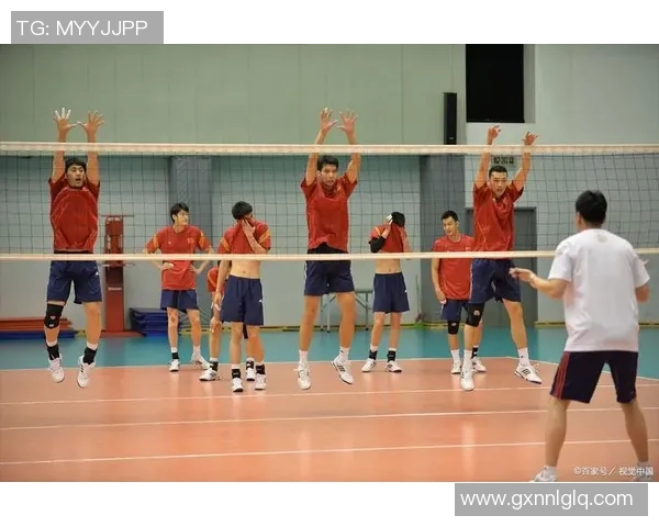 运动最新数据排球新手必看个人能力提升全攻略与入门技巧分享 运动最新数据排球新手必看个人能力提升全攻略与入门技巧分享