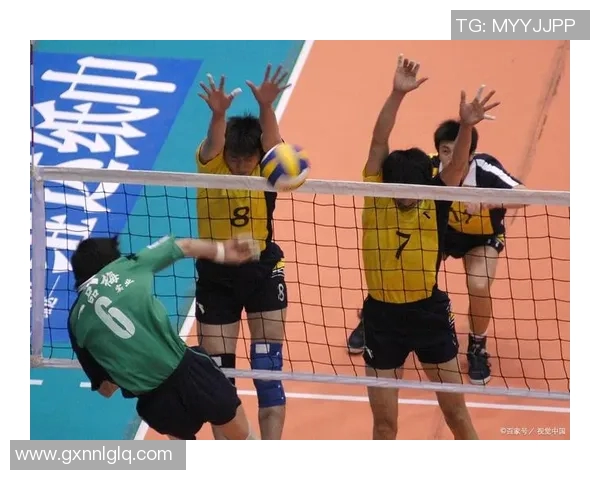 今年运动数据重庆排球队团队协作引发热议球员间配合与默契的争论不断升级