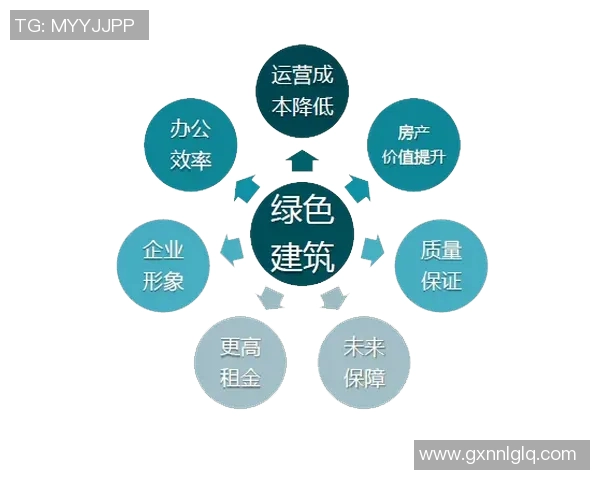 今年运动数据重庆极限运动队的精神探索与团队意识的深度剖析